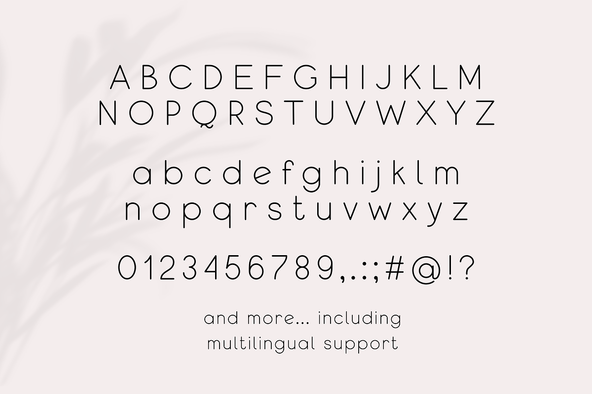 Qeghina and Co, a Sans Serif Font by Sofia Skoog (Photo 6 of 10)