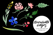 DIY Watercolor flowers. 190 elements, a Decorative Illustration by Olga Proz (Thumbnail 4 of 5)
