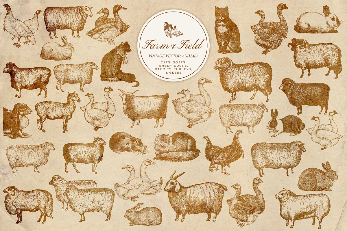 Vintage Farm Animal Vector Graphics, an Object Graphic by Eclectic Anthology (Photo 7 of 9)