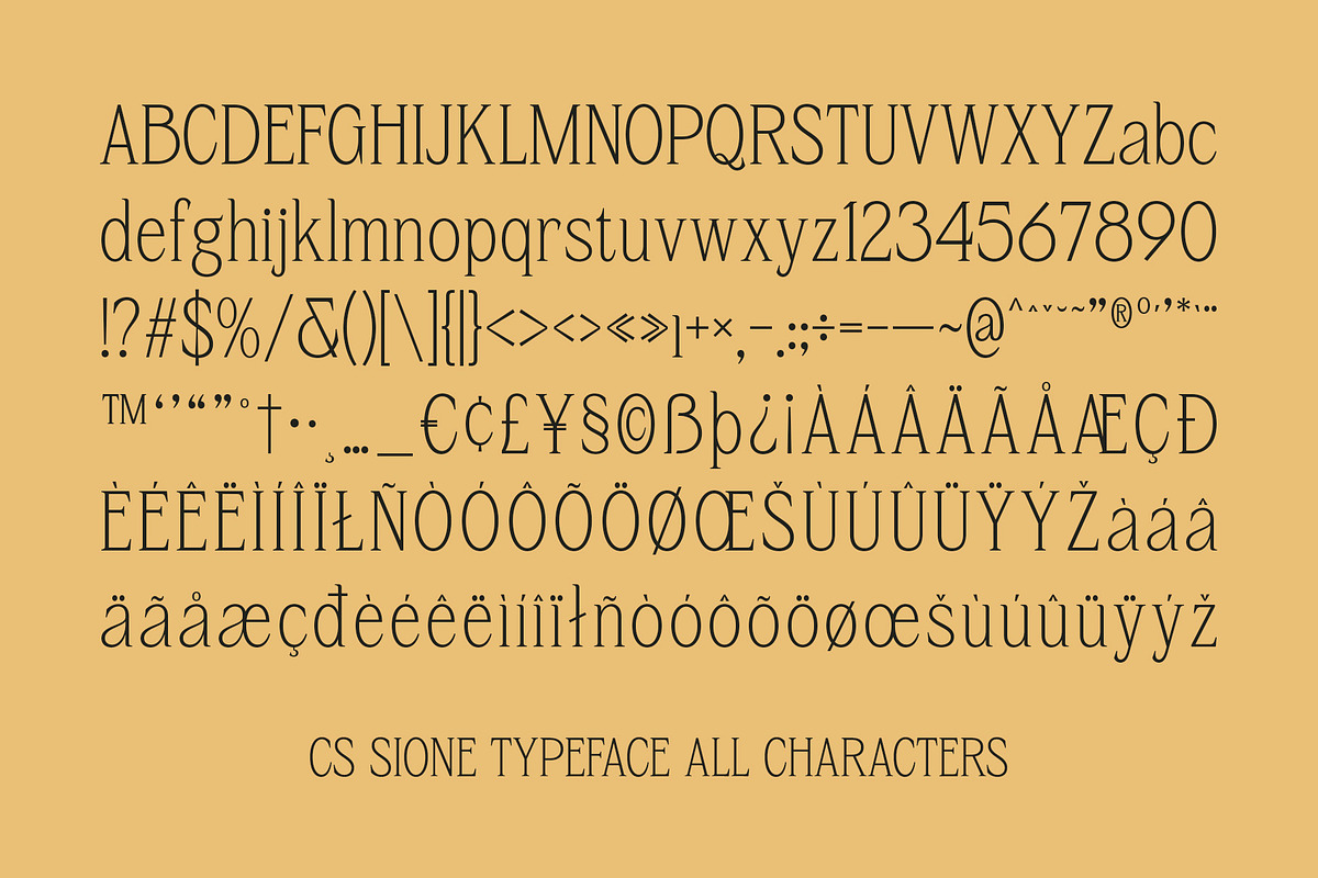 CS Sione – Condensed Font, a Serif Font by Craft Supply Co. (Photo 8 of 8)