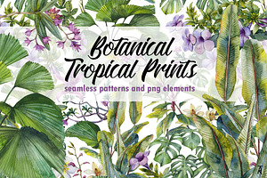 Botanical Tropical Patterns