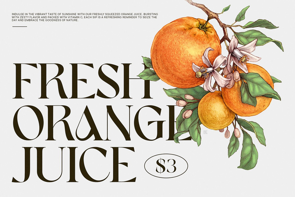 Pixora - Elegant Classy Serif, a Serif Font by Luna Shop (Photo 7 of 8)