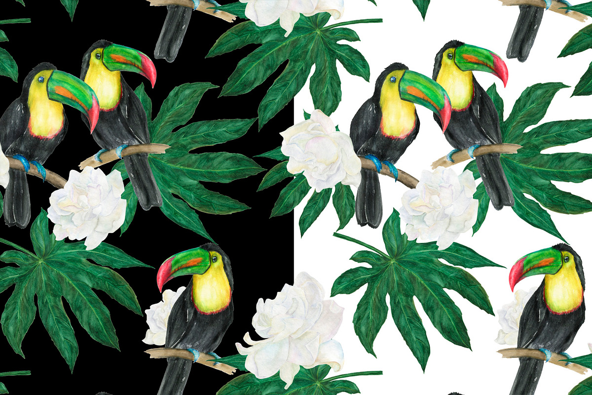Watercolor toucan patterns, a Pattern Graphic by ramika (Photo 4 of 5)