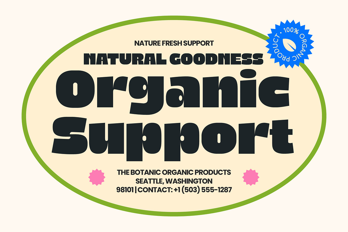 Fresh Chunky Retro Groovy Sans, a Sans Serif Font by timelesstype.co (Photo 3 of 15)