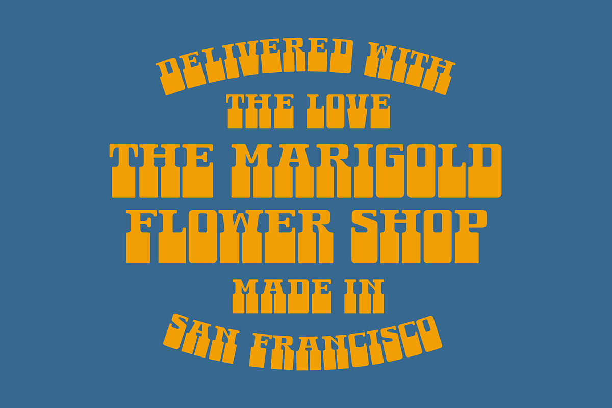 Albern - A Groovy 70s Font, a Serif Font by The Type Fella (Photo 3 of 6)