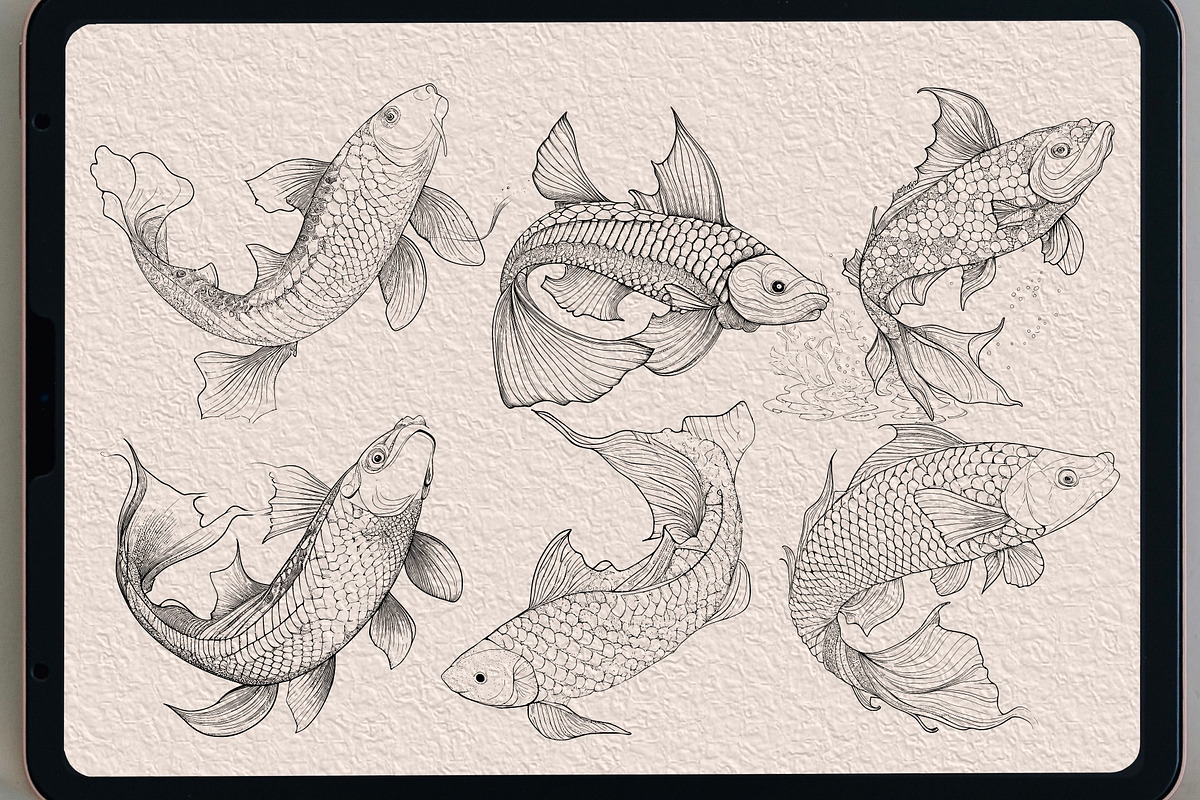 63 koifish Coloring   brush stamp, a Brush Add-On by TaKong Magics (Photo 4 of 4)