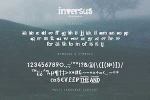 Inversus A Slab Serif Display Font