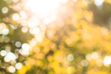 The nature bokeh featuring abstract, autumn, and background, an Abstract Photo by oksix