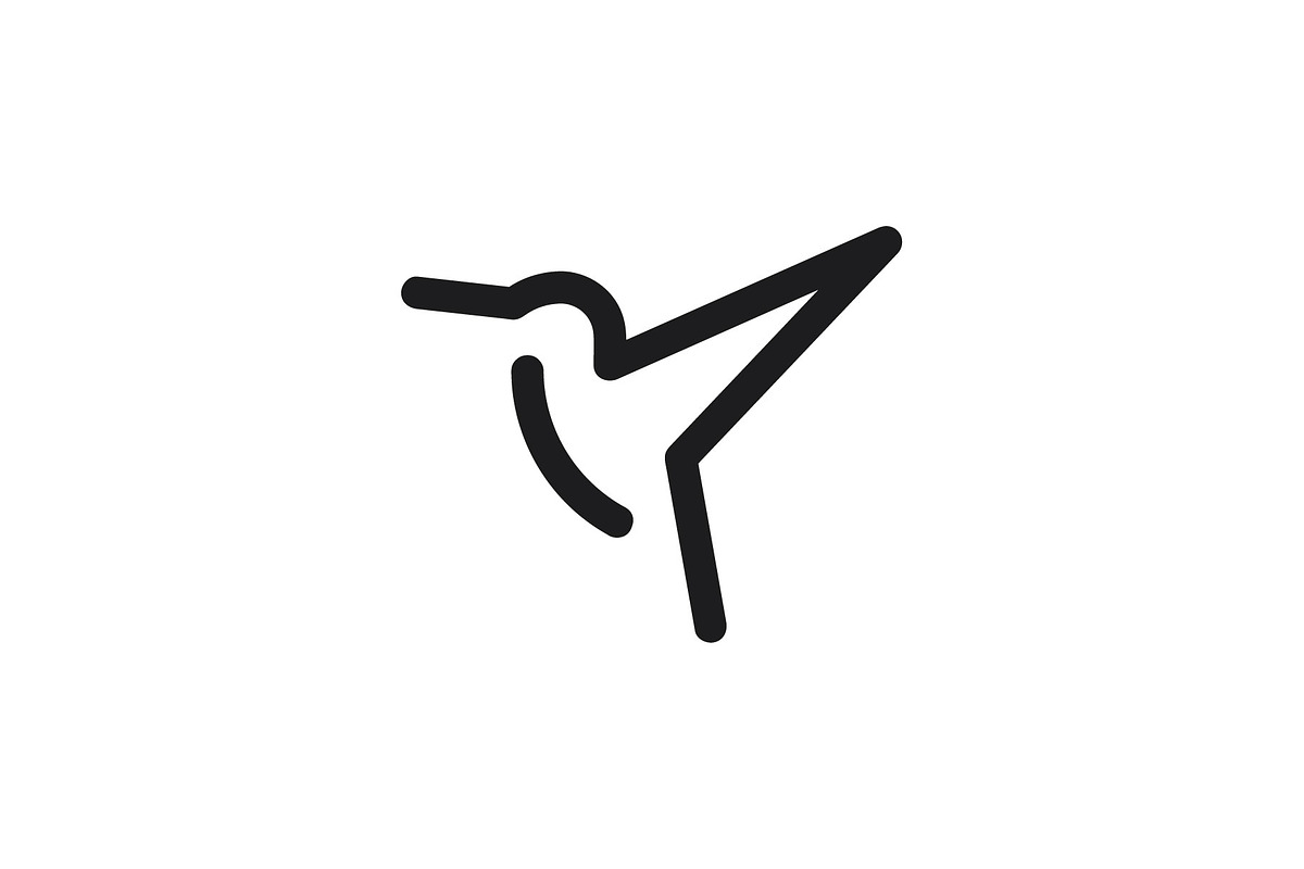 Bird, a Branding & Logo Template by zeykan
