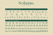 Sesbania - Modern Minimal Branding, a Serif Font by Qweera Studio (Thumbnail 11 of 12)