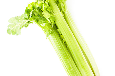 Green celery isolated containing agriculture, background, and bunch, a Food & Drink Photo by oksix