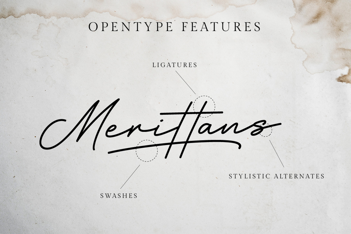 Hertine - Monoline Signature, a Script Font by Ef Studio (Photo 7 of 8)