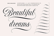 Delirian Script & Ornaments, a Script Font by Andrey Sharonov (Thumbnail 14 of 16)
