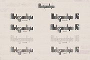 Alexandria Font Family + Bonus -70%, a Sans Serif Font by VP Fonts (Thumbnail 2 of 9)