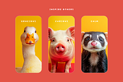 Favorite Pets, an Animal Photo by Picturesque Stories (Thumbnail 6 of 7)