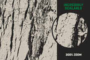 Tree Bark-Organic Wood Textures, a Texture Graphic by Slapshot Design Co (Thumbnail 5 of 8)