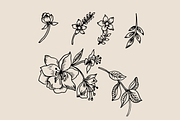 Bunchy Floral, an Object Graphic by VictoriaKStudio (Thumbnail 5 of 6)