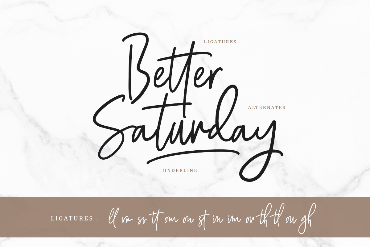 Hughson Script (8 Fonts) preview 3