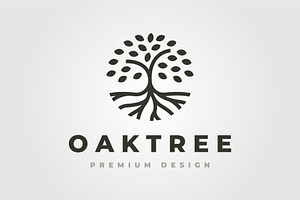 Oak Tree Line Art Nature Logo Vector