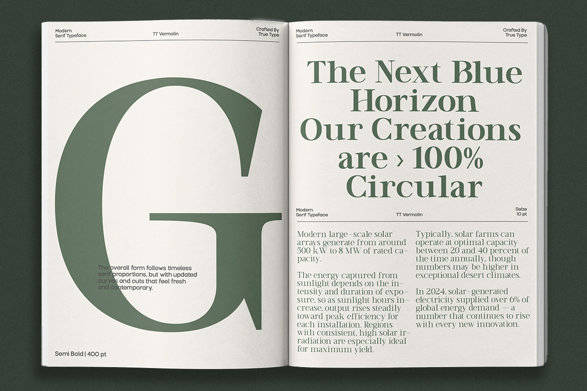 TT Vermolin — Modern Classy Serif, a Serif Font by truetype (Photo 8 of 15)