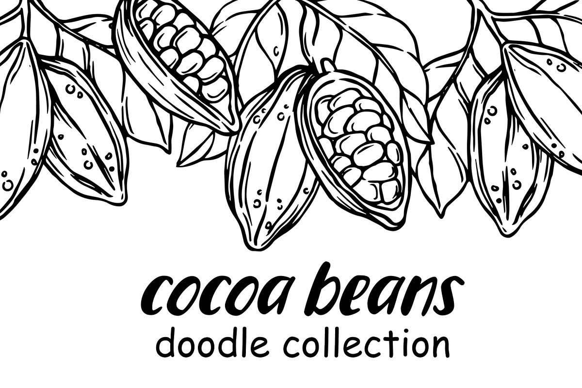 Cocoa beans. doodle collection, a Food Illustration by made by Tanya (Photo 1 of 3)