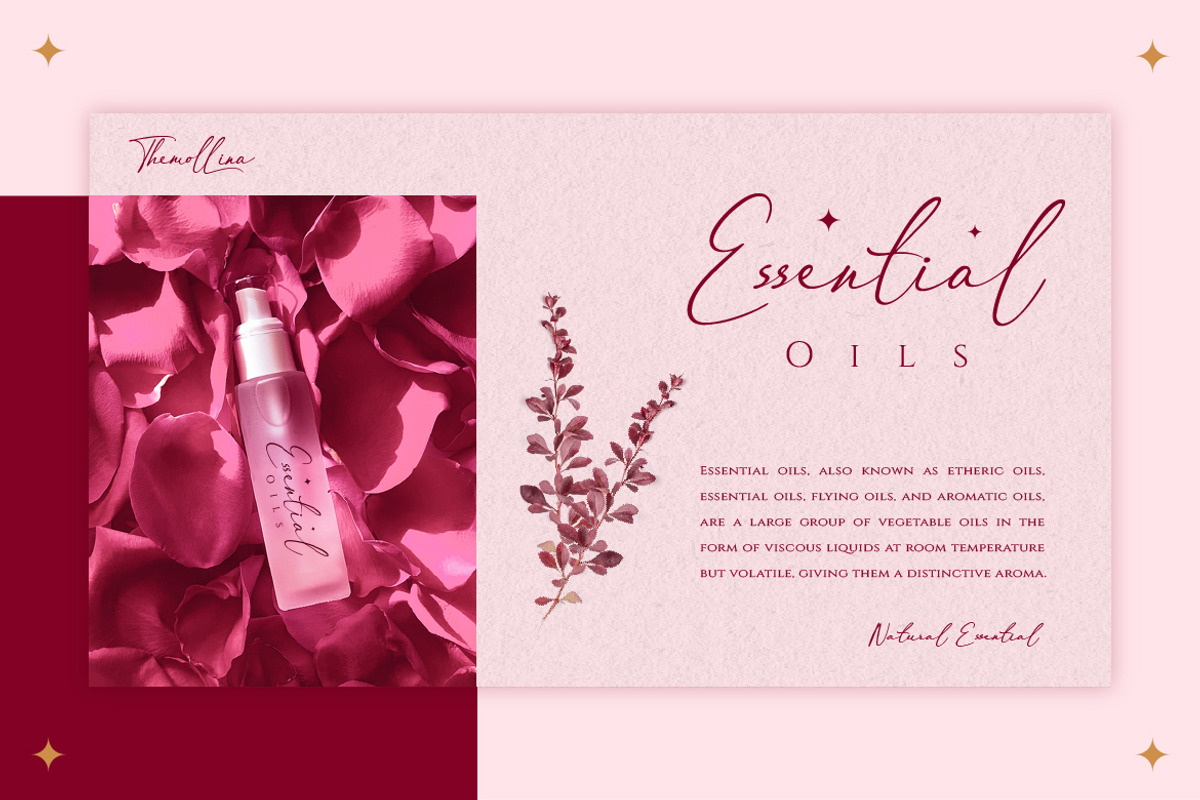 Themollina, a Script Font by kerismaker (Photo 6 of 12)
