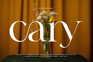 Cary Classy Serif Font