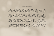 Danthalion Elegant Signature Script, a Script Font by gracetype_studio (Thumbnail 10 of 12)