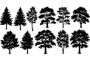 Woodland & Forest Tree Silhouettes B, an Illustration by jahid234 (Thumbnail 22 of 41)