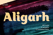 Aligarh - Stylish Slab Font Family, a Slab Serif Font by Namela Studio (Thumbnail 1 of 7)