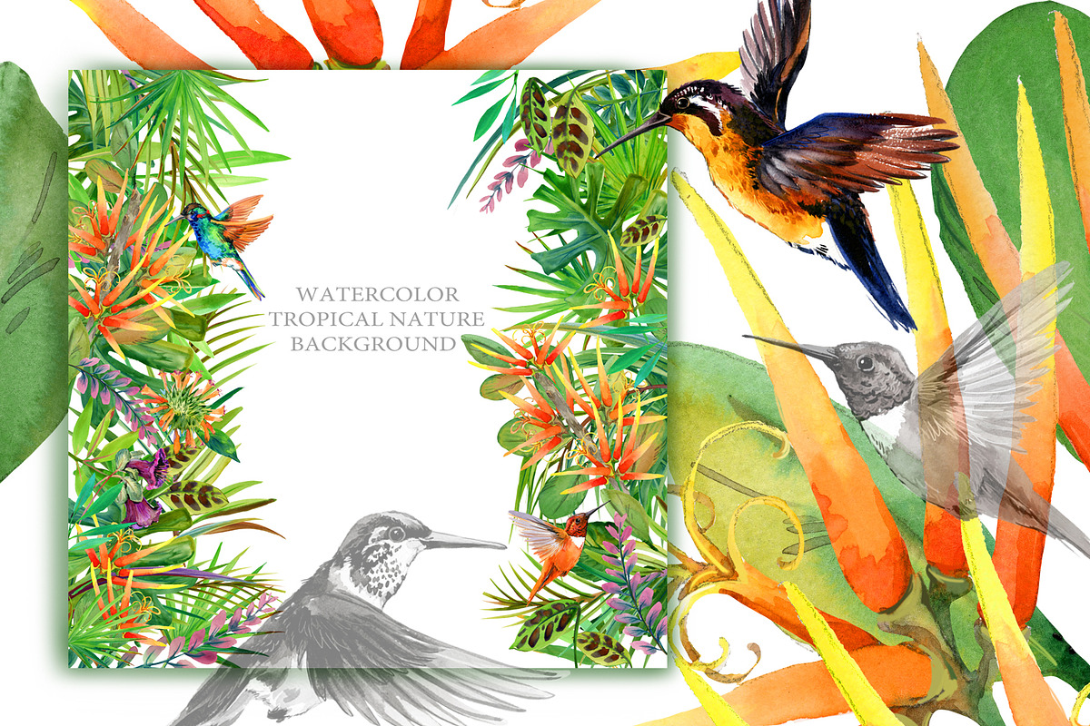 Watercolor Tropical plant & Bird, an Object Graphic by FineArt (Photo 14 of 22)