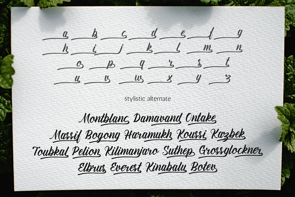 Amiable Forsythia Font, a Script Font by Letterhanna Studio (Photo 17 of 19)