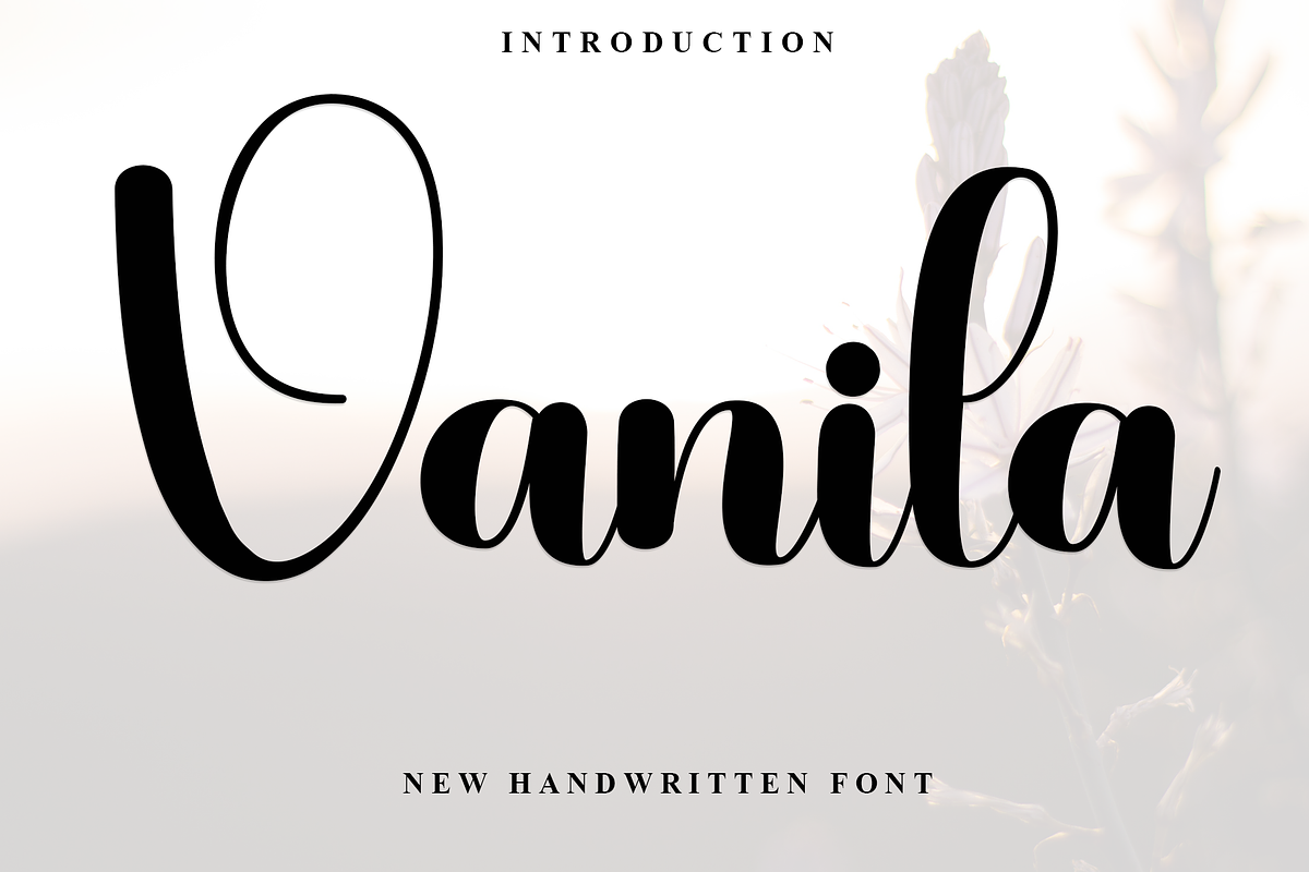 Vanila, a Script Font by InermediaSTUDIO (Photo 1 of 8)
