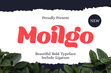 Moilgo - Beautiful Bold Font