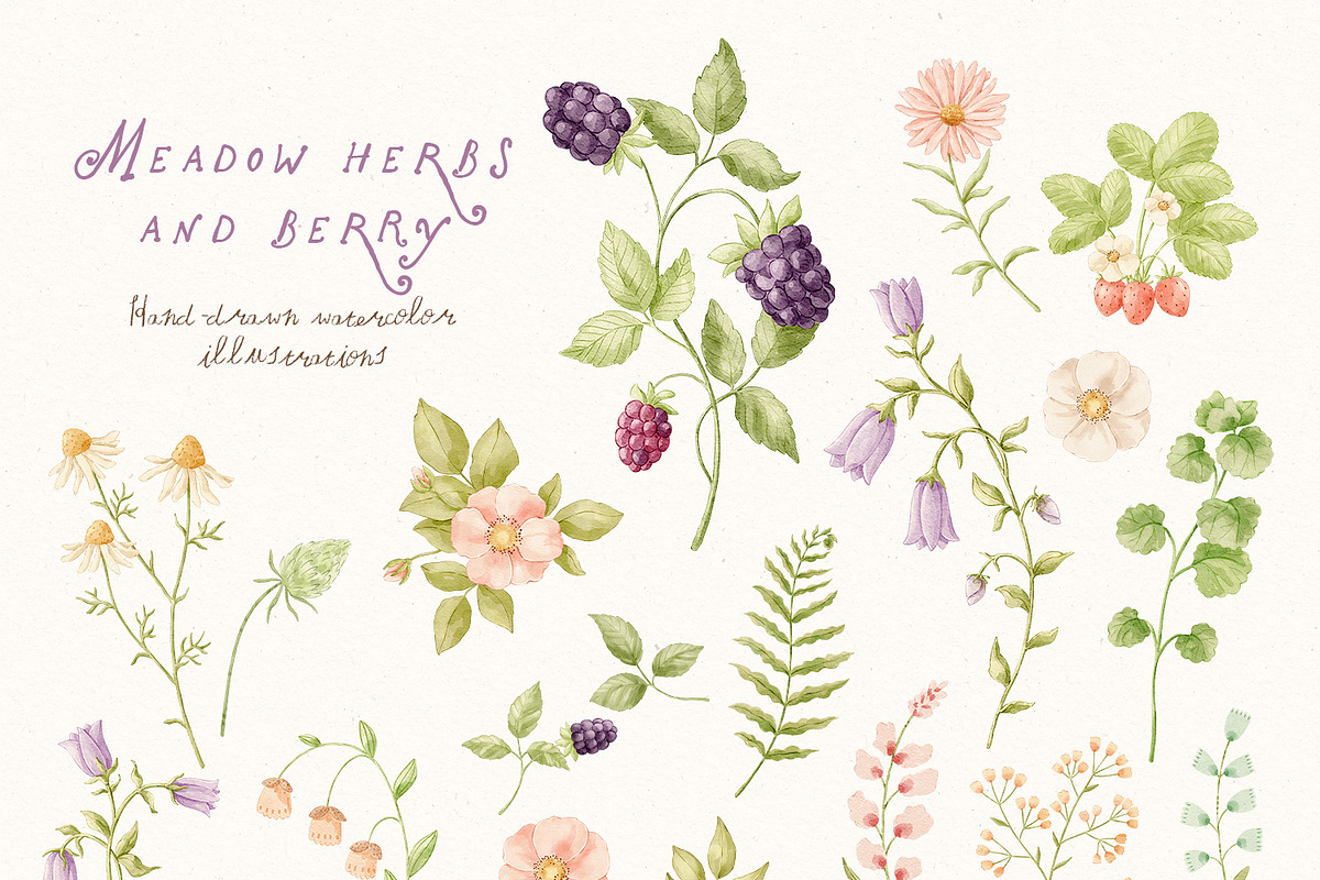 Charming meadow - woodland clipart, a Decorative Illustration by polikarpovaart (Photo 7 of 30)
