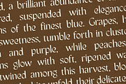 CS Sargent Drawn, a Serif Font by Craft Supply Co. (Thumbnail 7 of 8)