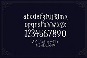 Freebooter - Pirate Display, a Serif Font by HipFonts (Thumbnail 7 of 8)
