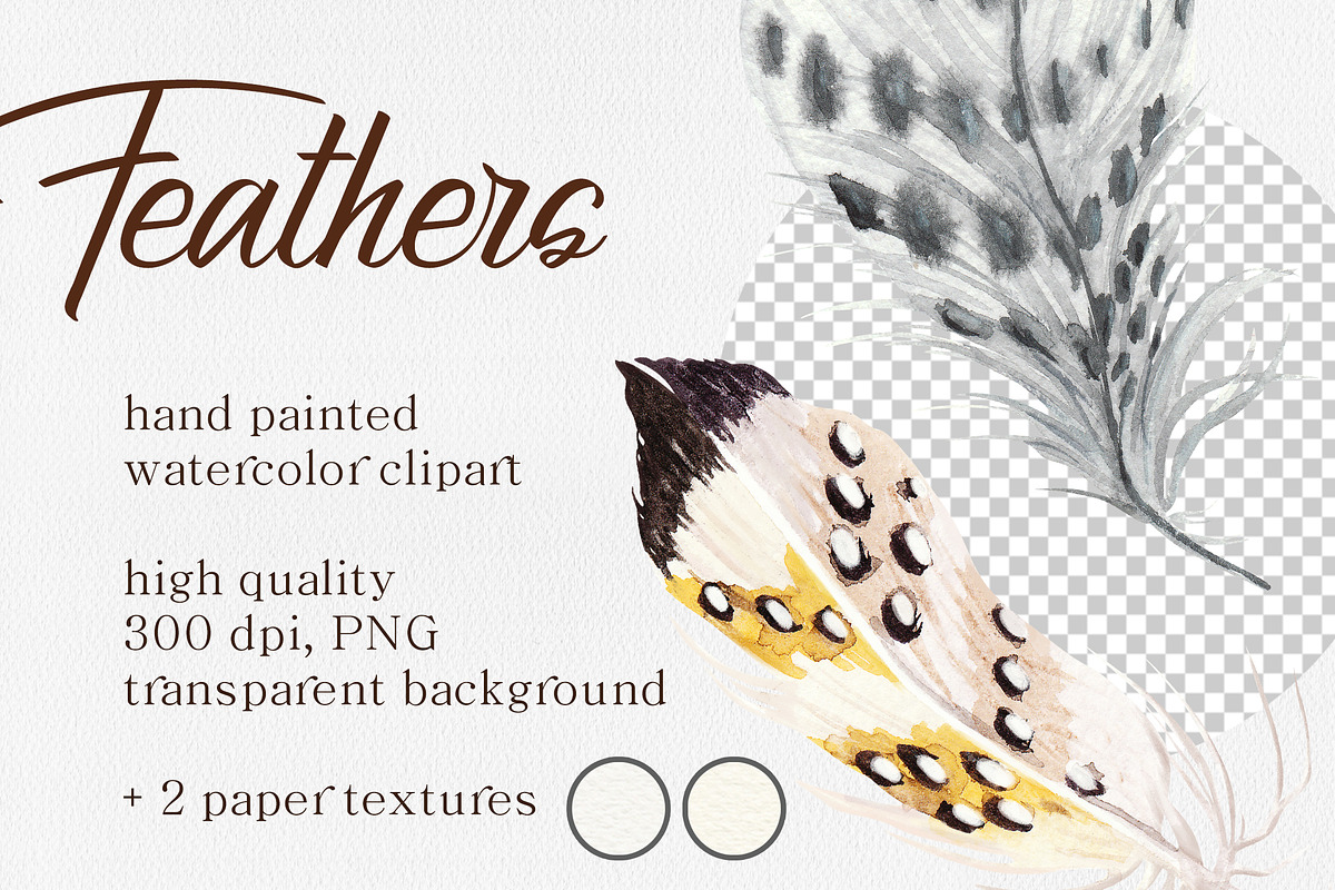 Feathers Watercolor Collection, a Texture Illustration by SOVA (Photo 4 of 7)