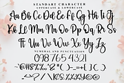 Shabby, a Handwritten Font by InermediaSTUDIO (Thumbnail 6 of 7)