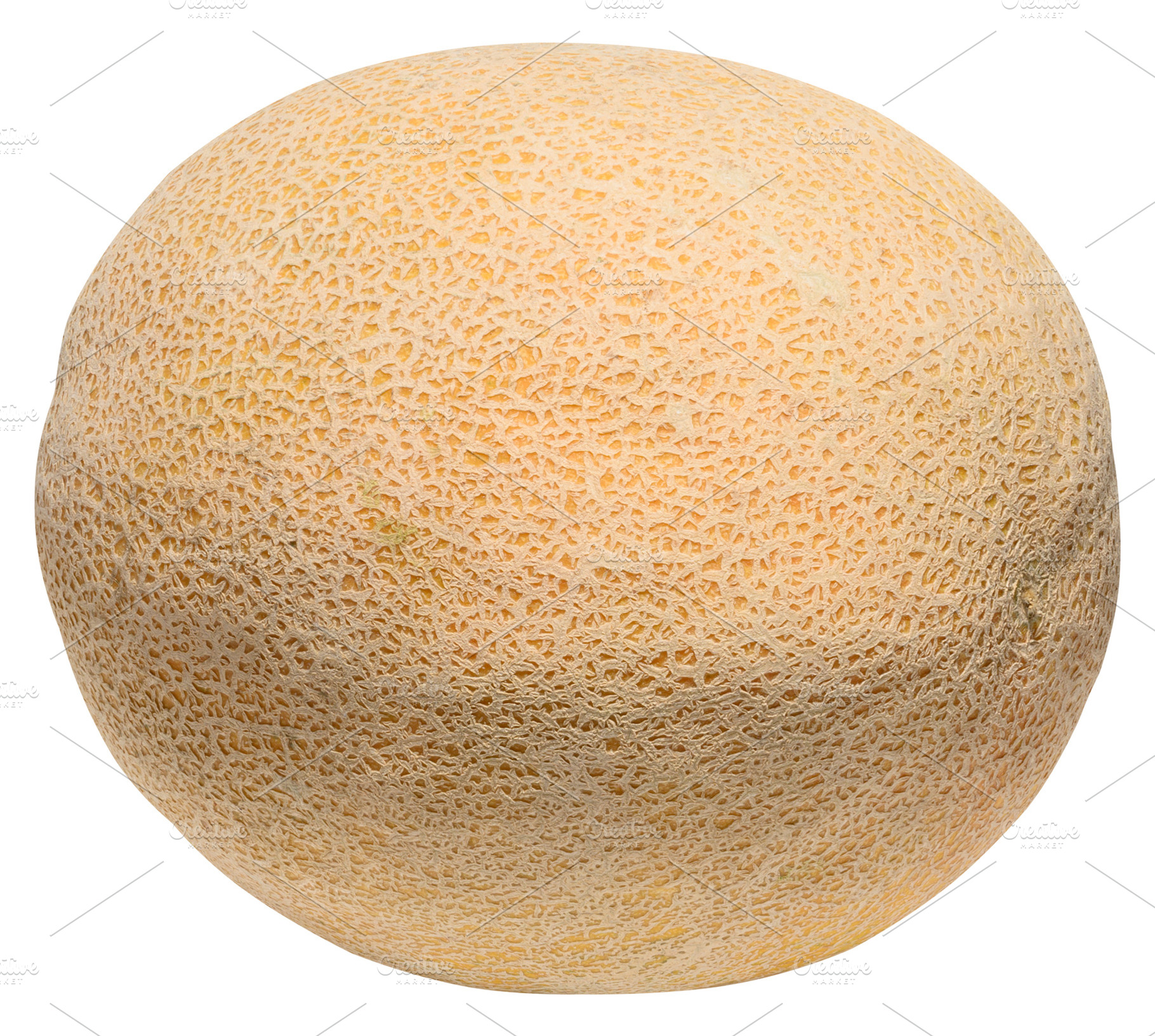 Whole ripe cantaloupe melon with characteristic netted rind, a Food & Drink Photo by ndanko