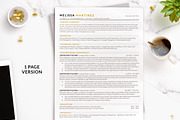 ATS Friendly Resume Template Gold, a Resume Template by BestResumes.Co (Thumbnail 1 of 9)