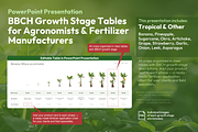 BBCH Growth Stages, Other Crops, a Presentation Template by Ilia Design (Thumbnail 1 of 8)