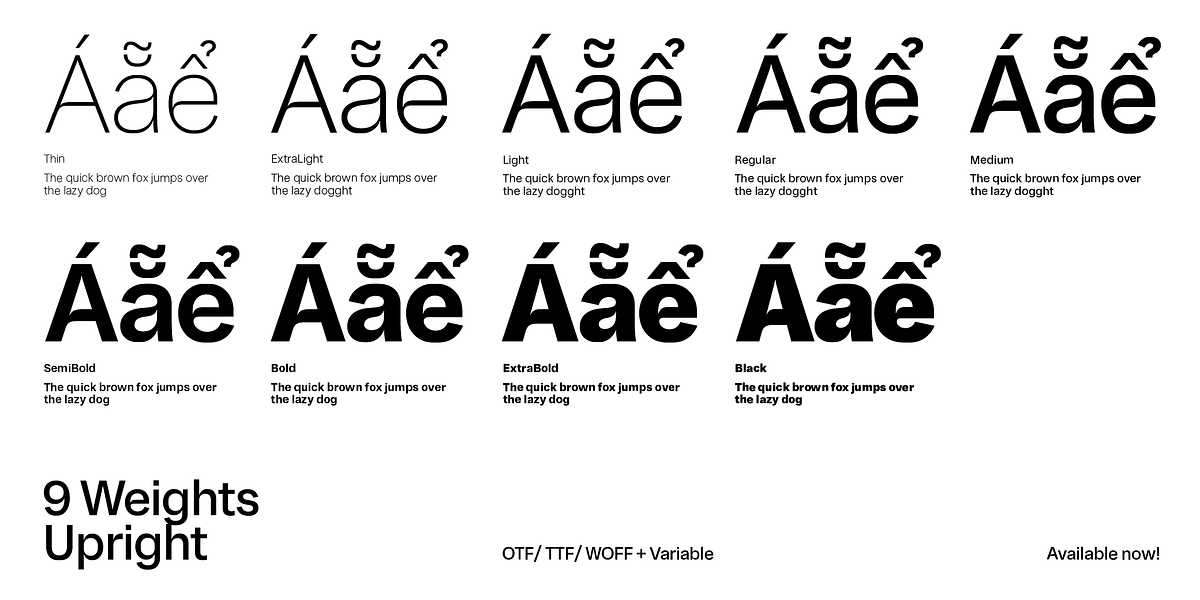 DT Meman, a Sans Serif Font by DType (Photo 2 of 7)