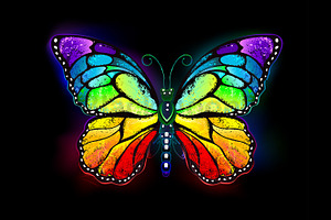 Rainbow Luminous Butterfly