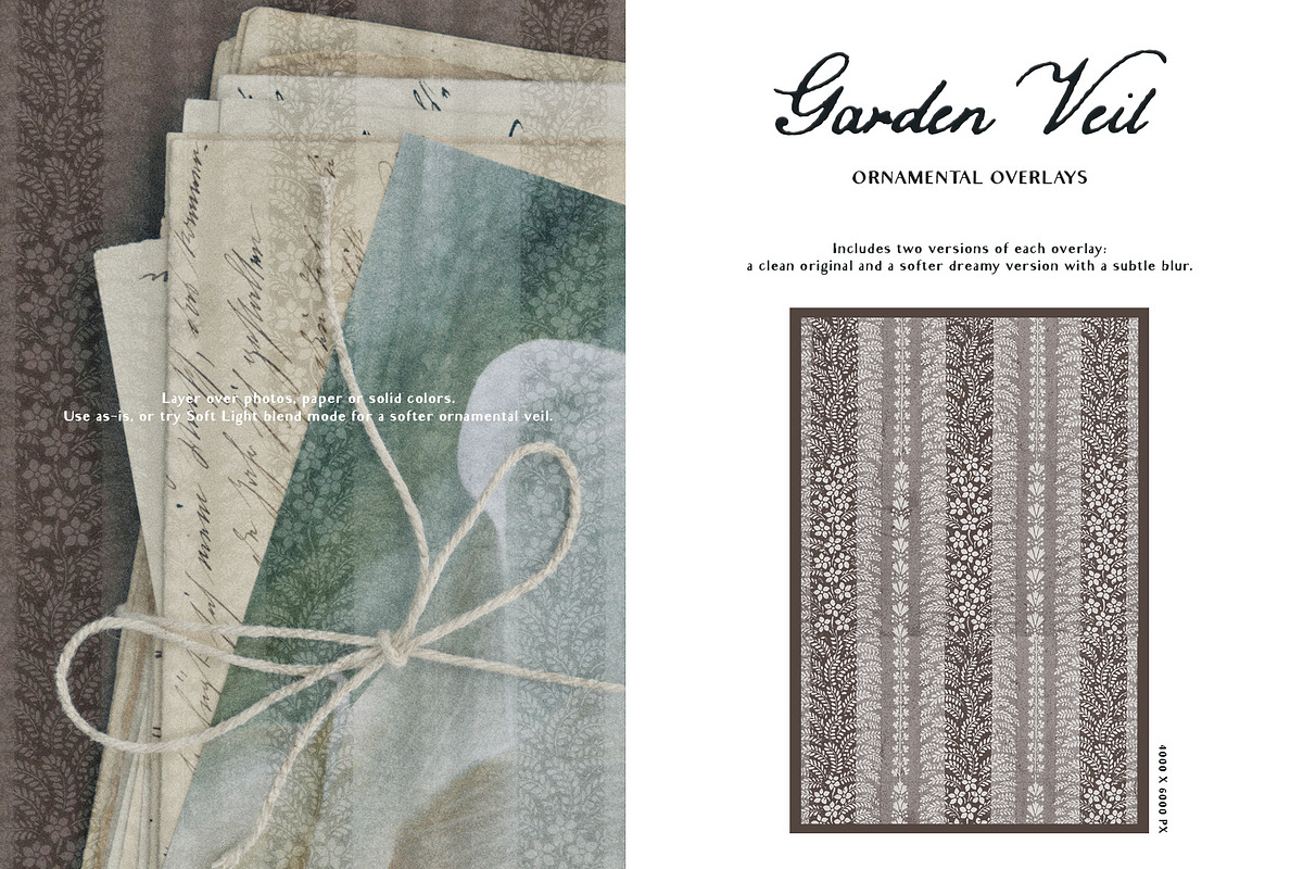 Garden Veil: Lace Overlays, a Texture Graphic by Purple (Photo 11 of 16)
