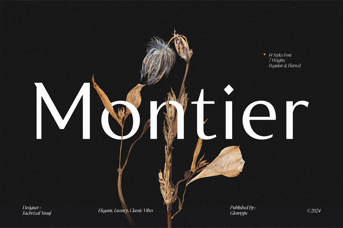 Montier Elegant Display, a Sans Serif Font by Glowtype (Photo 1 of 15)
