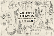 Spring flowers line art + Procreate, a Decorative Illustration by Skliarova (Thumbnail 1 of 4)