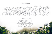 Theodoria Script Font, a Script Font by Creativeqube Design (Thumbnail 14 of 16)