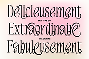 TAN - IMAGINAIRE, a Serif Font by TanType (Thumbnail 8 of 12)