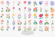 Flower Clipart Huge Bundle, a Decorative Illustration by Patishop Art (Thumbnail 9 of 11)